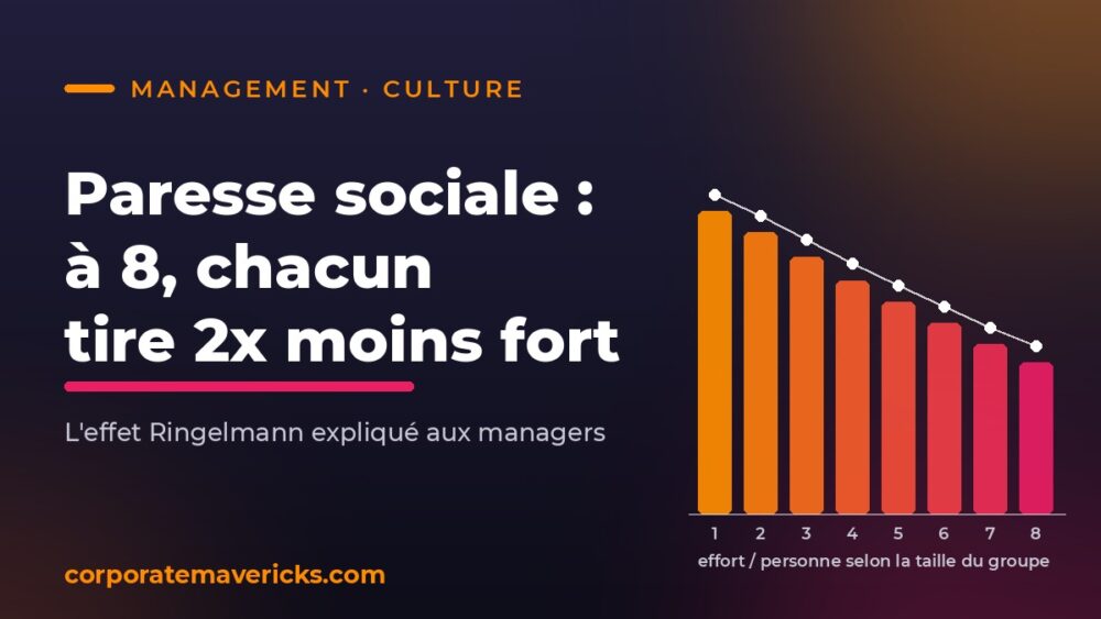 Paresse sociale : effort par personne selon la taille du groupe (effet Ringelmann)