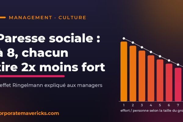Paresse sociale : effort par personne selon la taille du groupe (effet Ringelmann)